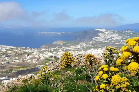 Santorini: 4hr Private Accessible Panoramic Views Tour