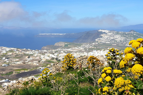 Santorini: tour privado con vistas panorámicas