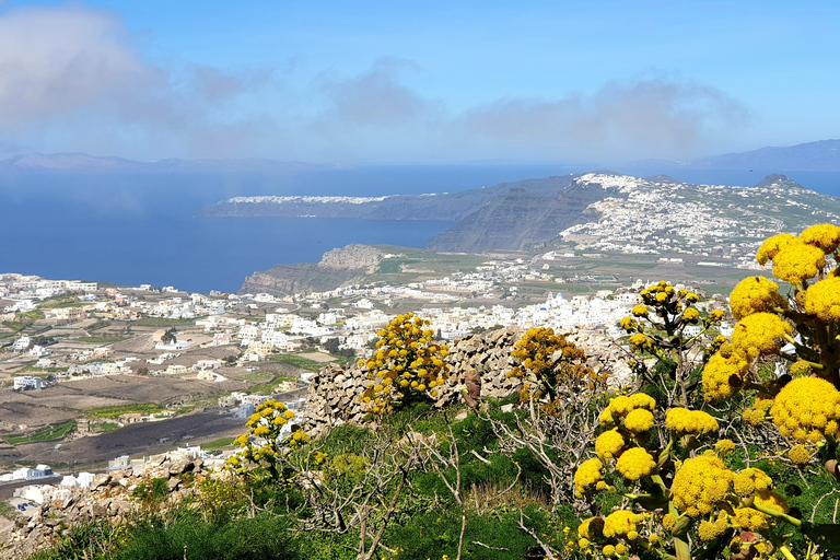 Santorini: Panoramic Views Private Tour