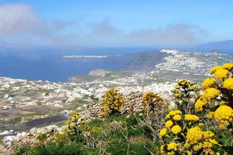 Santorini: Panoraamanäkymät Yksityinen kiertue