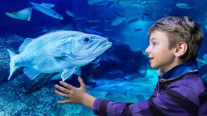 sea life berlin tickets