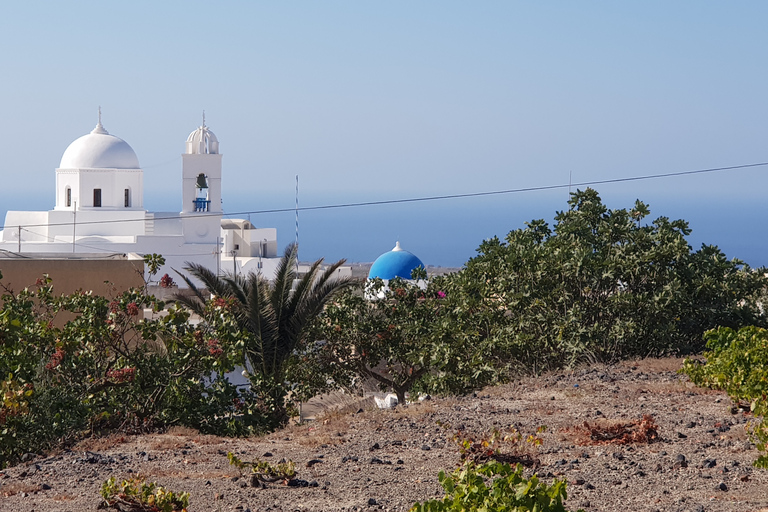 Santorini: recorrido privado por los caminos ocultos del campo