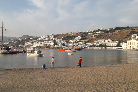 Mykonos: Halbtagestour durch die Stadt und Bustour auf der InselStadt- und Inseltour 2024