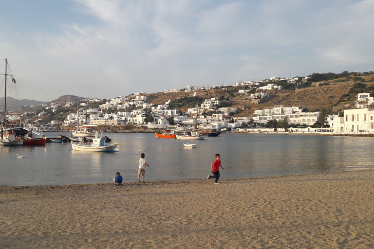 Mykonos : visite d&#039;une demi-journée à pied de la ville et visite de l&#039;île en busTour de ville et d&#039;île 2024