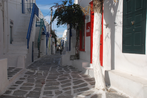 Mykonos : visite d&#039;une demi-journée à pied de la ville et visite de l&#039;île en busTour de ville et d&#039;île 2024