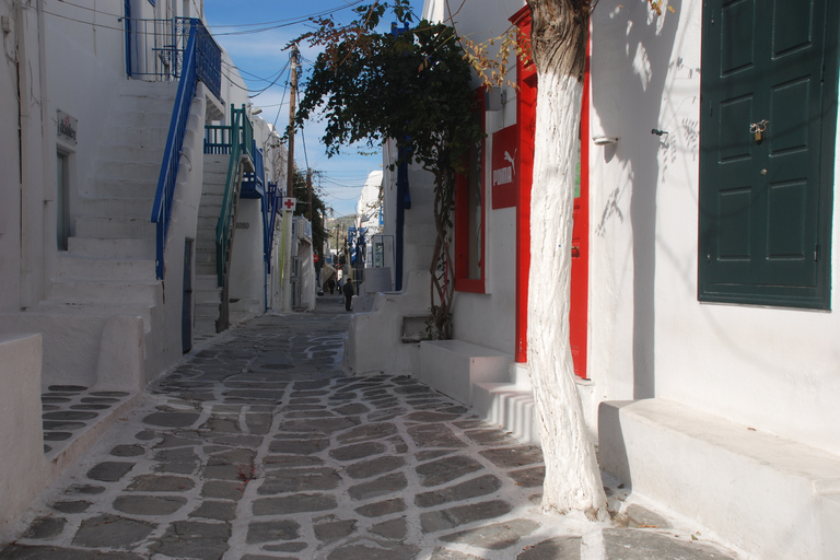 Mykonos: Halbtagestour durch die Stadt und Bustour auf der InselStadt- und Inseltour 2024