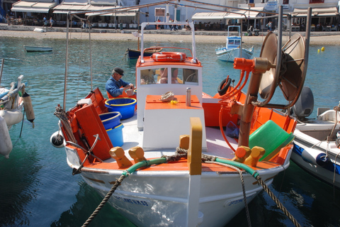 Excursión a la costa de Mykonos: Visita a la ciudad y la isla