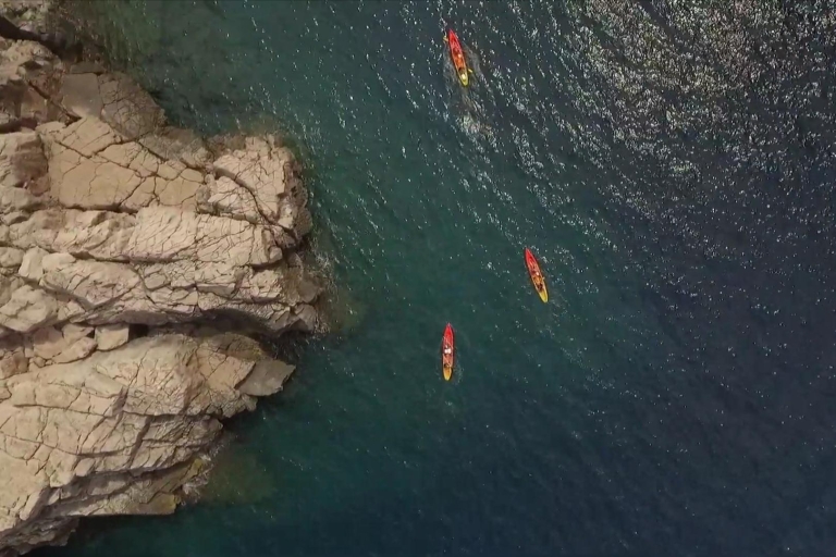 Dubrovnik: Day or Sunset Sea Kayaking Tour with Snack 2-Hour Daytime Tour