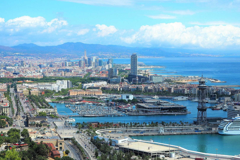 Best of Barcelona: Sagrada Familia & Park Guell with Pickup Group Tour in Spanish (Entry Fees Not Included)