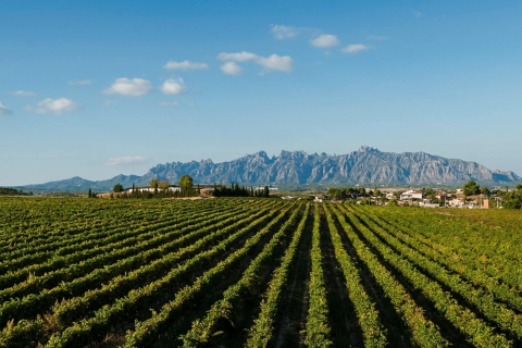 Dagtrip naar Montserrat en Cava-wijngaarden vanuit Barcelona met pick-upRondleiding in het Spaans
