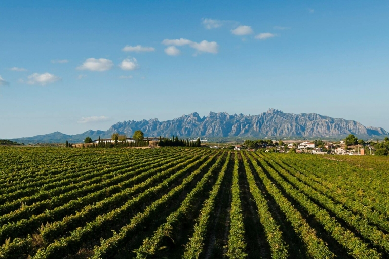 Dagtrip naar Montserrat en Cava-wijngaarden vanuit Barcelona met pick-upPrivérondleiding