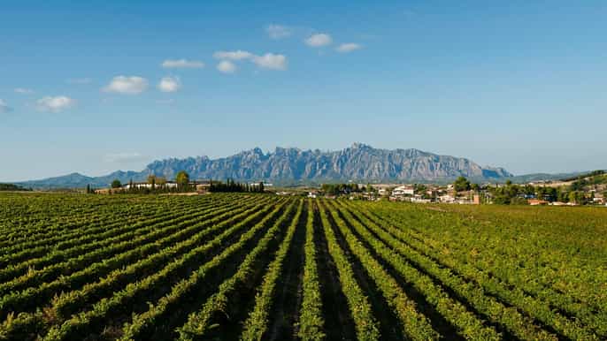 montserrat cava wineries day trip from barcelona w/ pickup
