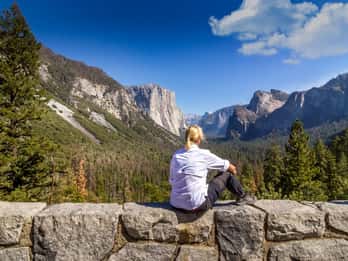 Groveland: Die Riesenmammutbaum-Baumtour im Yosemite-Nationalpark Groveland: Die Riesenmammutbaum-Baumtour im Yosemite-Nationalpark