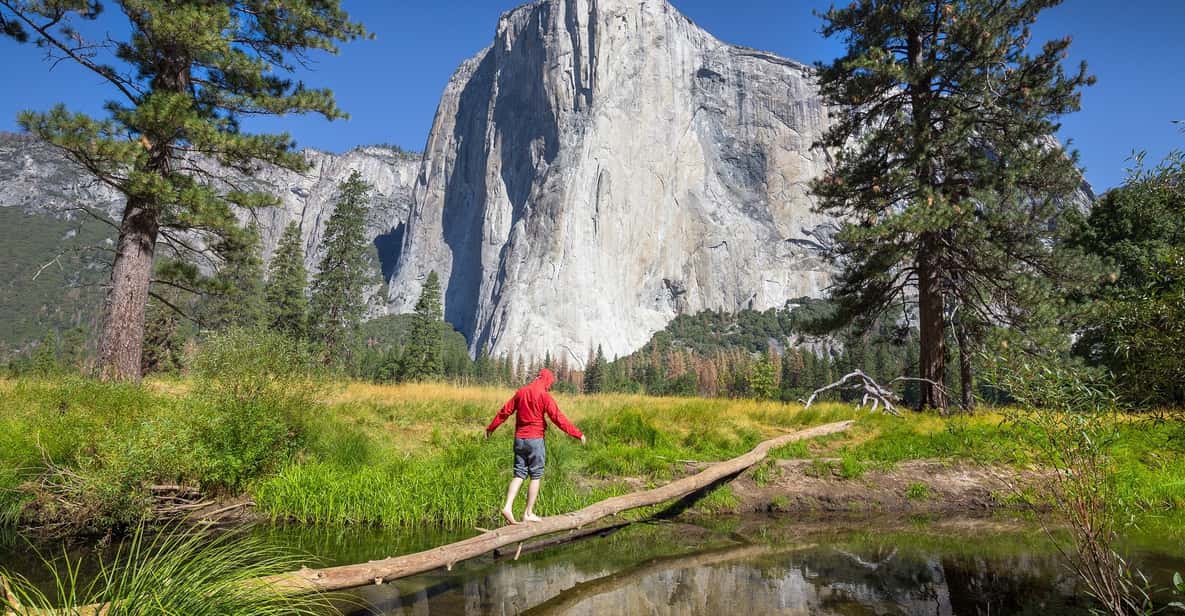 Groveland: Yosemite National Park's Giant Sequoia Trees Tour