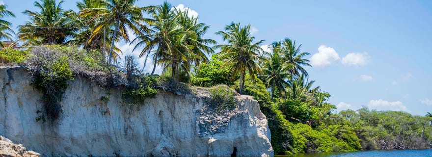 Depuis João Pessoa : Visite d'une jounée des plages de la côte sud