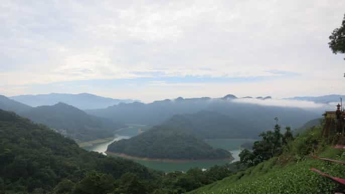 taipai fullday pinglin and elephant mountain tour
