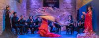 Jerez, Flamenco Show & Optional Dinner at Tablao Puro Arte - Housity