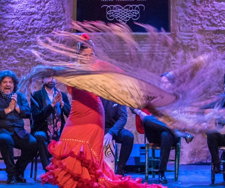 Jerez: live flamencoshow met optioneel diner