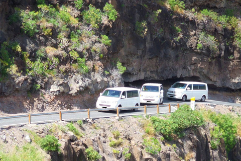 Gran Canaria: Island Highlights Tour with Optional LunchGuided Tour