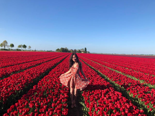 Da Amsterdam: Tour dei tulipani Keukenhof e tour della città di Delft