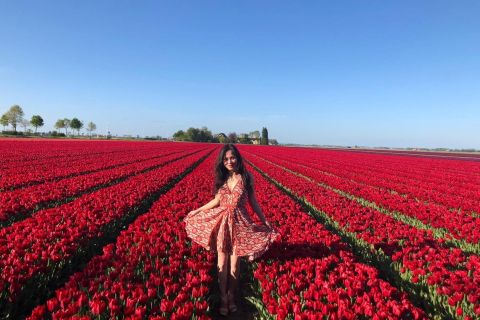 From Amsterdam: Day Trip to Keukenhof, Tulip Fields & Delft