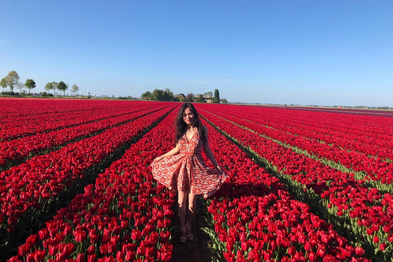 Au départ d'Amsterdam : Visite des tulipes à Keukenhof et visite de la ville de Delft