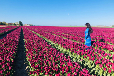 Au départ d'Amsterdam : Visite des tulipes à Keukenhof et visite de la ville de Delft