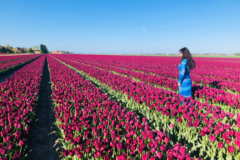 Z Amsterdamu: Tulip Tour Keukenhof & Wycieczka po mieście DelftZ Amsterdamu: Wycieczka po tulipanach Keukenhof i zwiedzanie miasta Delft