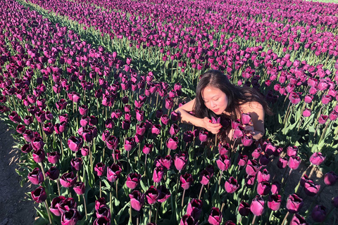 Au départ d'Amsterdam : Visite des tulipes à Keukenhof et visite de la ville de Delft