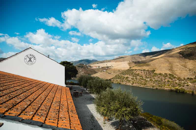 Douro Valley Quinta de S. Luiz Winery Tour and Tasting GetYourGuide