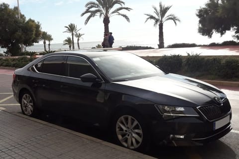 Benidorm: trasferimento privato dall'aeroporto di Alicante (ALC).