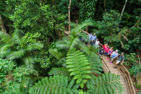 Cairns : Circuit de 2 jours de la Grande Barrière de Corail et de la forêt tropicale de Daintree