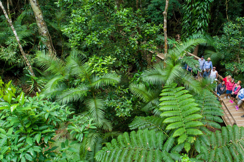 Cairns: tour di 2 giorni della Grande Barriera Corallina e della foresta pluviale di DaintreeCairns: tour di 2 giorni della Grande barriera corallina e della foresta pluviale di Da