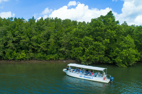 Cairns : Circuit de 2 jours de la Grande Barrière de Corail et de la forêt tropicale de Daintree