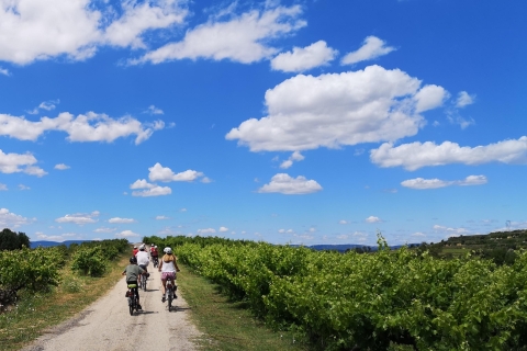 Penedès: zelfgeleide fietstocht met bezoek aan een wijnmakerij