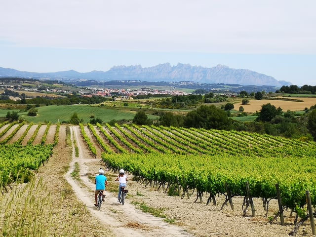 Barcelona: Guided Half-Day Wine and Electric Bike Tour