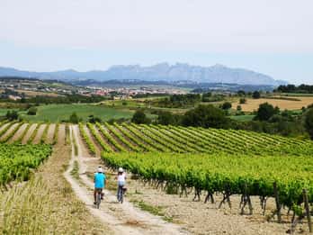 Barcelona: Guided Half-Day Wine and Electric Bike Tour