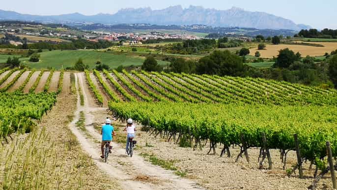barcelona halfday wine and electric bike tour