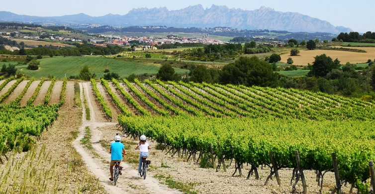 Barcelona: Guided Half-Day Wine and Electric Bike Tour