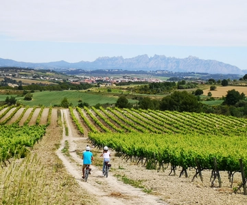 Barcelona: Guided Half-Day Wine and Electric Bike Tour