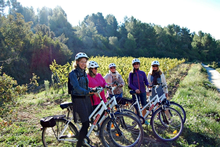 Barcelona: Halve dag wijn- en elektrische fietstocht