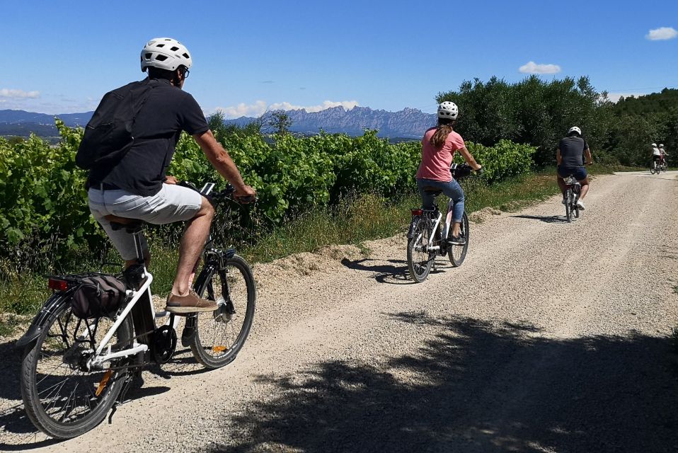 Full-Day Wine Tour with Electric Bike