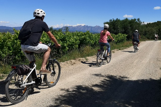Visit Penedès Full-Day Guided E-Bike Wine Tour with Brunch in Palma de Mallorca