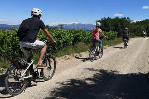 Barcelona : Full-Day Wine Tour with Electric Bike