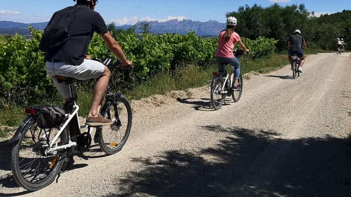 barcelona ganztägige weintour mit dem ebike