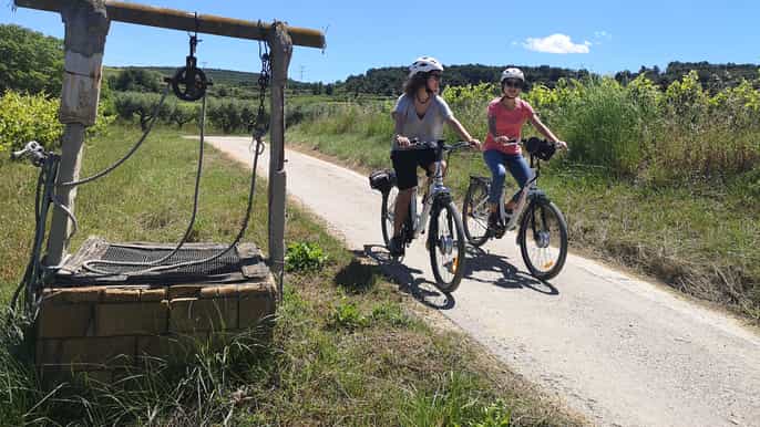 barcelona penedès classic bike wine tour (shared tour)