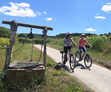 Barcelona: Bike & Wine Guided Tour - Penedès vineyards