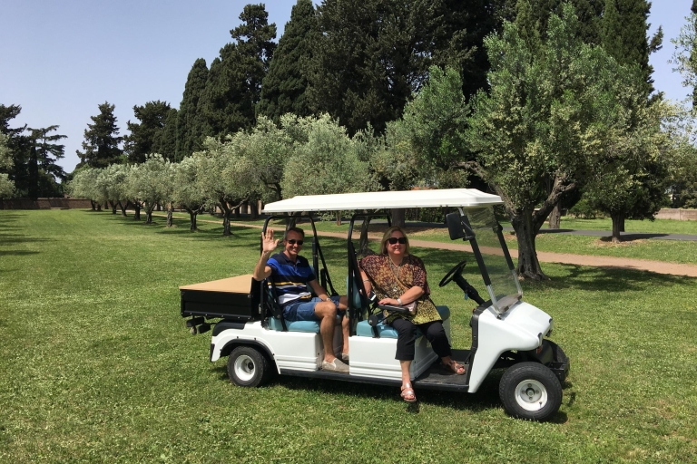Wycieczka po Rzymie przez wózek golfowyZwiedzanie Rzymu Meleks