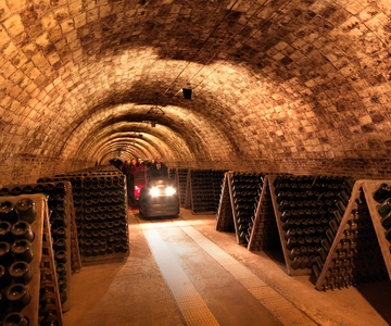 Penedès: Discovery Tour with Cava Tasting
