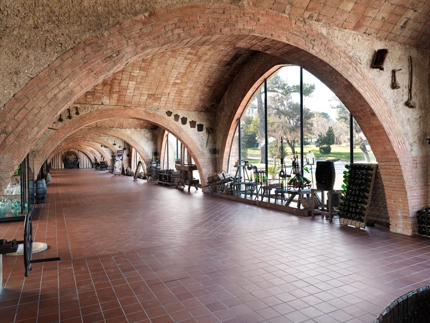 Penedès: Codorniu Winery Tour with Cava Tasting